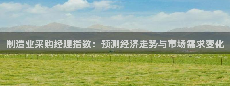 彩神vip官方网站：制造业采购经理指数：预测经济走势与市场需