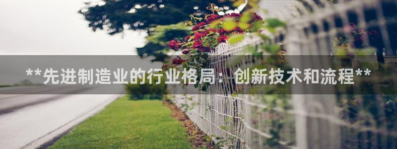 彩神平台之间是什么关系：**先进制造业的行业格局：创新技术和流程**