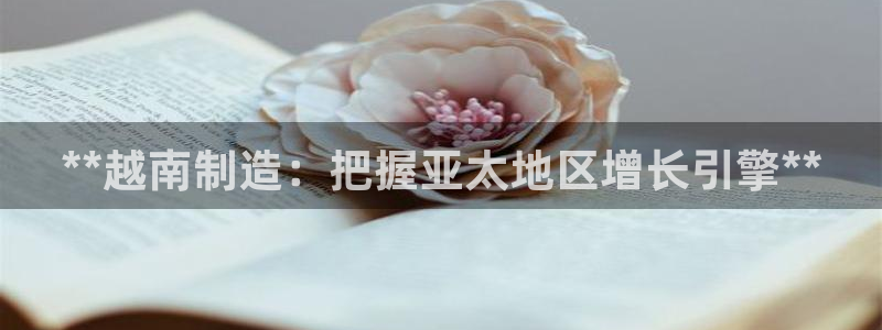 彩神ios下载：**越南制造：把握亚太地区增长引擎**