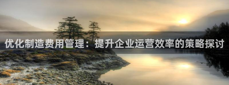 彩神官方邀请码是多少：优化制造费用管理：提升企业运营效率的策略探讨