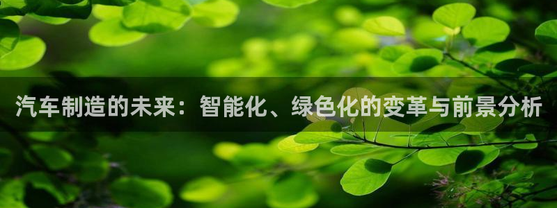 彩神vl官网：汽车制造的未来：智能化、绿色化的变革与前景分析