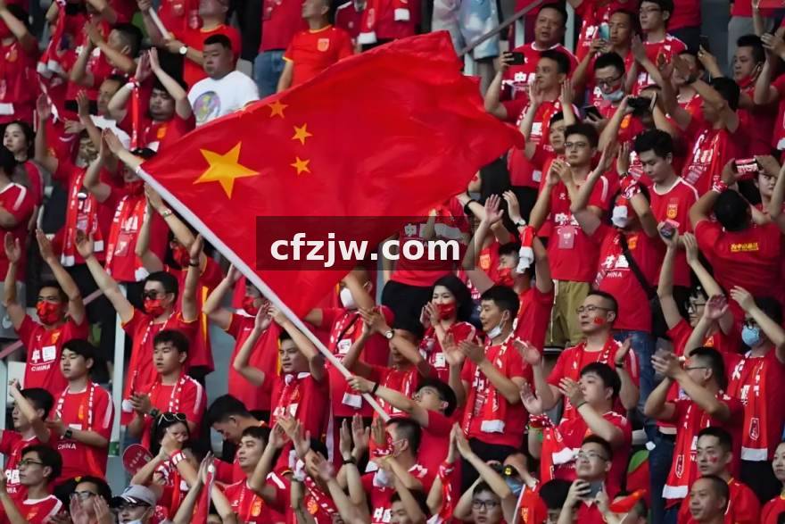 探球网球队资料库与阵容结构