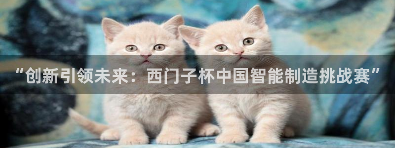 彩神v违法么：“创新引领未来：西门子杯中国智能制造挑战赛”